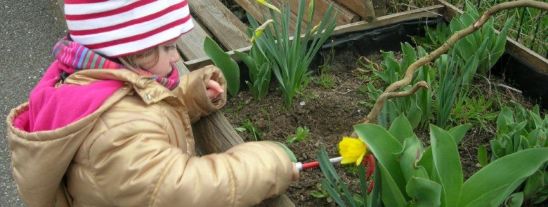 Plantations de printemps