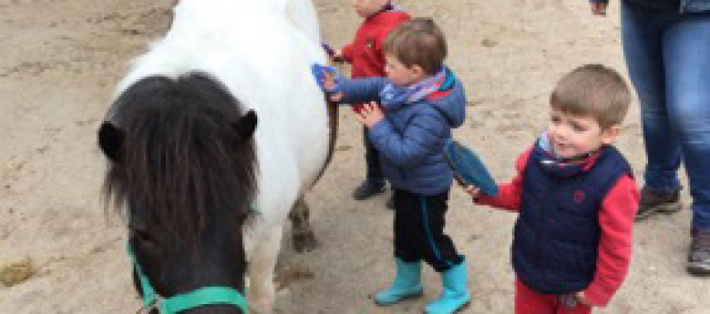 Petits cavaliers en herbe !