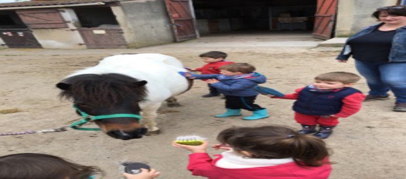 Petits cavaliers en herbe !