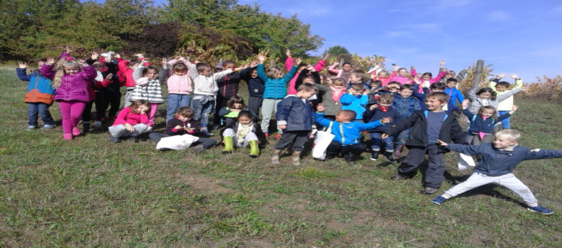 Grande section et CP : sortie nature