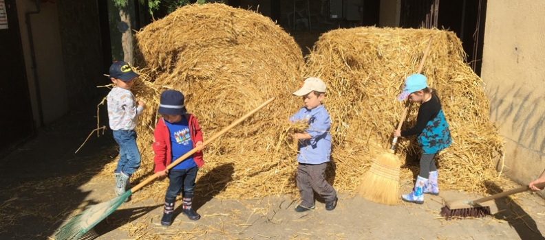 DES NOUVELLES DE NOS CAVALIERS