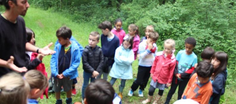 Classe de CP/CE1 : Sortie nature