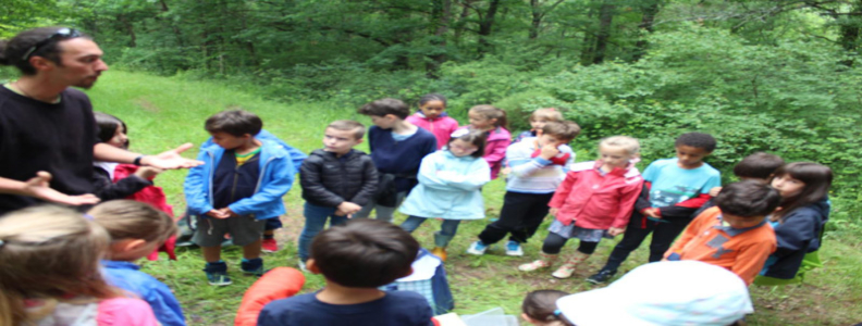 Classe de CP/CE1 : Sortie nature
