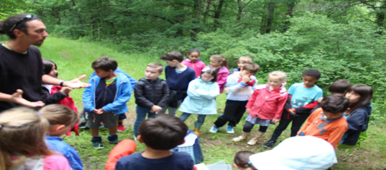 Classe de CP/CE1 : Sortie nature